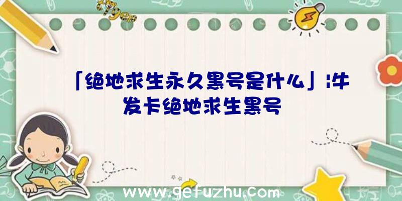 「绝地求生永久黑号是什么」|牛发卡绝地求生黑号